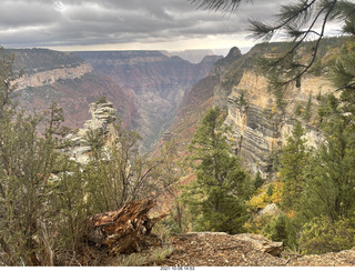 255 a18. Grand Canyon North Rim - Widforss Trail - vista view