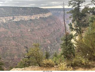 Grand Canyon North Rim - Widforss Trail - vista view