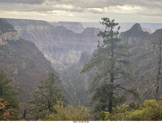 273 a18. Grand Canyon North Rim - Widforss Trail - vista view