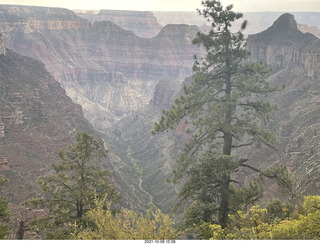 Grand Canyon North Rim - Widforss Trail - vista view