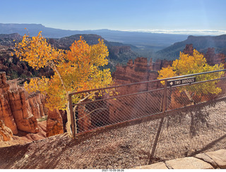 Bryce Canyon Amphitheater with orange-yellow aspens