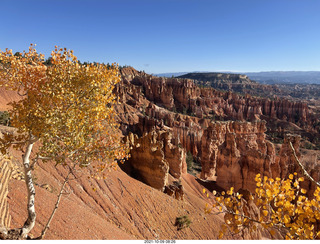 41 a18. Bryce Canyon Amphitheater with orange-yellow aspens