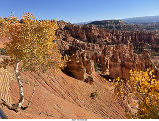 42 a18. Bryce Canyon Amphitheater with orange-yellow aspens