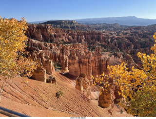 43 a18. Bryce Canyon Amphitheater with orange-yellow aspens