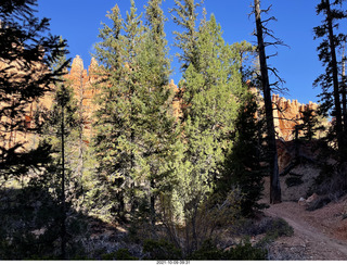 59 a18. Bryce Canyon - Peekaboo hike