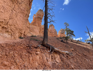 127 a18. Bryce Canyon - Peekaboo hike