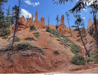 131 a18. Bryce Canyon - Peekaboo hike