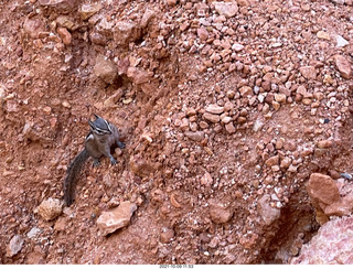 Bryce Canyon - Peekaboo hike