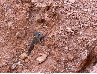 Bryce Canyon - Peekaboo hike