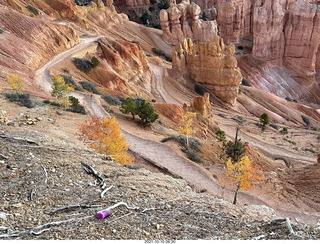 Bryce Canyon Amphitheater sunrise - orange-yellow aspens