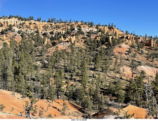 Bryce Canyon Lodge - frost on the Jeep