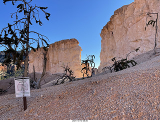 85 a18. Bryce Canyon Fairyland Trail hike