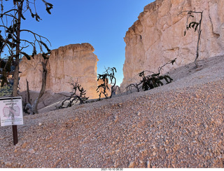 86 a18. Bryce Canyon Fairyland Trail hike