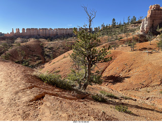 Bryce Canyon Fairyland Trail hike