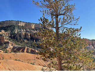 Bryce Canyon Fairyland Trail hike - Boat Mesa