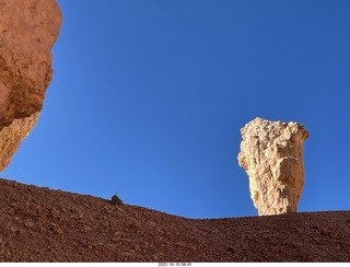 109 a18. Bryce Canyon Fairyland Trail hike - my chosen hoodoo