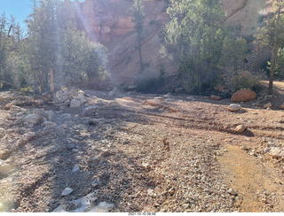 Bryce Canyon Fairyland Trail hike