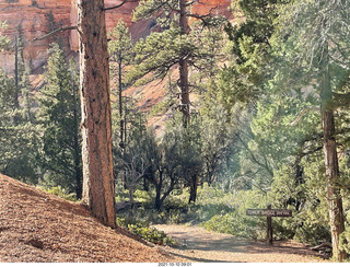 Bryce Canyon Fairyland Trail hike - signs near Tower Bridge