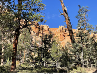 Bryce Canyon Fairyland Trail hike