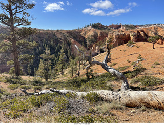 Bryce Canyon Fairyland Trail hike - signs near Tower Bridge