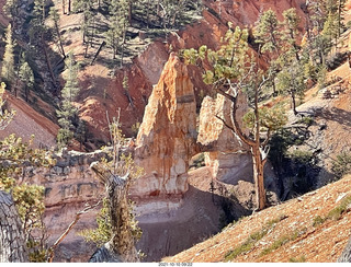 137 a18. Bryce Canyon Fairyland Trail hike - Tower Bridge