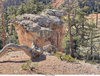 Bryce Canyon Fairyland Trail hike - Tower Bridge