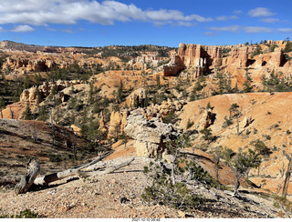 146 a18. Bryce Canyon Fairyland Trail hike