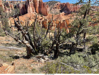 172 a18. Bryce Canyon Fairyland Trail hike