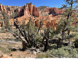 173 a18. Bryce Canyon Fairyland Trail hike