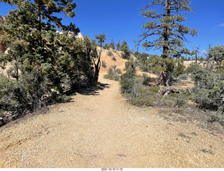 Bryce Canyon Fairyland Trail hike