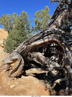 Bryce Canyon Fairyland Trail hike - Adam