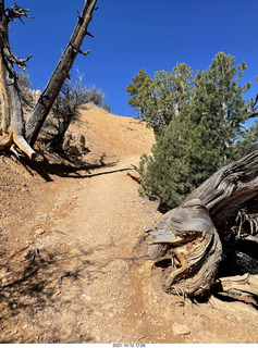 Bryce Canyon Fairyland Trail hike - Adam