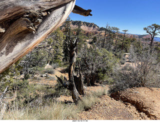 Bryce Canyon Fairyland Trail hike