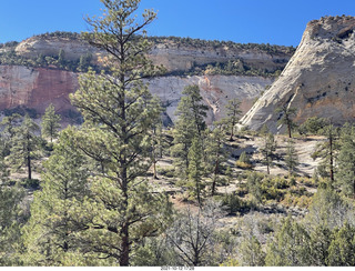 250 a18. Zion National Park