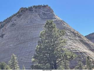 251 a18. Zion National Park - Checkerboard Mesa