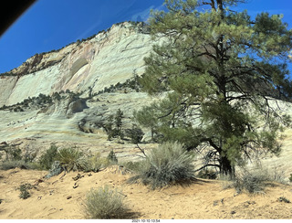 253 a18. Zion National Park