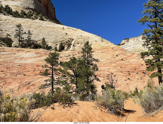 drive to Zion