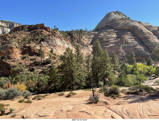 Zion National Park - Adam