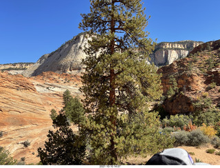 285 a18. Zion National Park