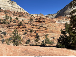 336 a18. Zion National Park