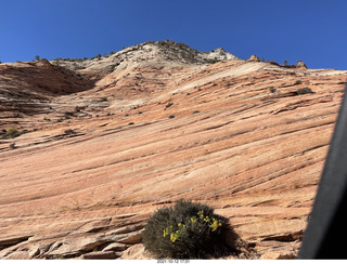 Zion National Park - Adam