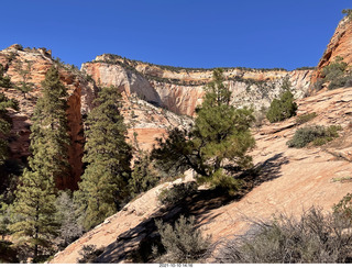 342 a18. Zion National Park