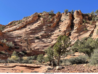 Zion National Park