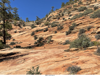 345 a18. Zion National Park