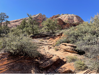 355 a18. Zion National Park