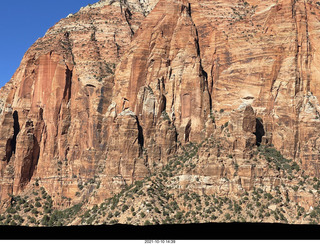 Zion National Park - flowers