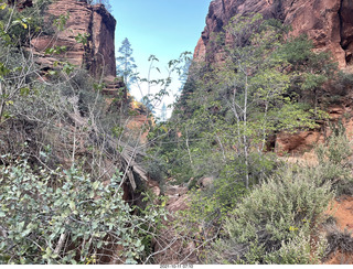 11 a18. Zion National Park - Scout Landing hike