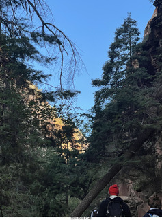 13 a18. Zion National Park - Scout Landing hike