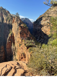 Zion National Park - Scout Landing hike