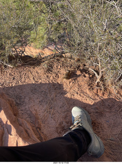 36 a18. Zion National Park - Scout Landing - chipmunk